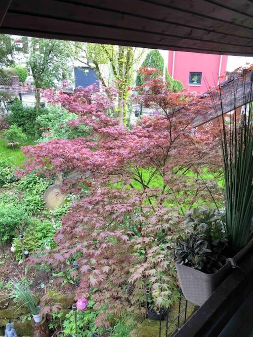 Willkommen Im Casa Felice, Der Wohlfuehl Oase Mit Balkon, 4 Betten Und Homeoffice Platz Aidlingen Esterno foto